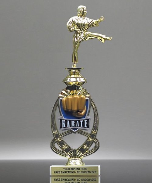 Picture of Martial Arts Meridian Trophy