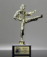 Picture of Karate Kick Trophy