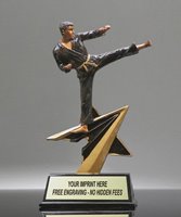 Picture of Star Power Karate Trophy