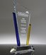 Picture of Business Recognition Award