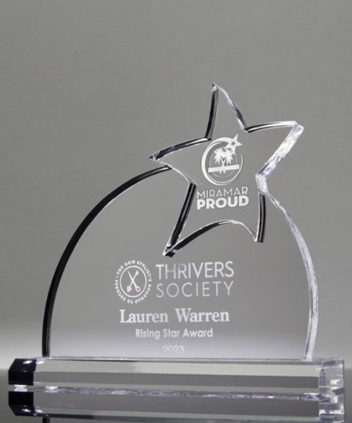 Picture of Academic Star Award