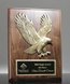 Picture of Trinity Eagle Plaque