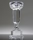Picture of Optic Crystal Trophy Cup Award - Medium Size