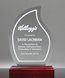 Picture of Contour Flame Acrylic Award