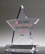 Picture of Excellence Star Award with Full Color Imprint