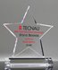 Picture of Excellence Star Award with Full Color Imprint
