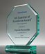 Picture of Jade Acrylic Octagon Award - UV Printed