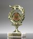 Picture of Flame Custom Insert Trophy