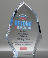 Picture of Multi-Faceted Optic Crystal Summit Award
