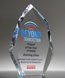 Picture of Multi-Faceted Optic Crystal Summit Award