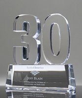 Picture of Crystal 30 Years of Service Award