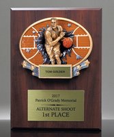 Picture of Xplosion Basketball Plaque Award