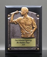 Picture of Greystone Darts Plaque