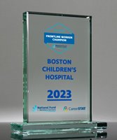 Picture of Optimist Jade Glass Rectangle Award - Large UV Printed