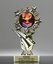 Picture of Star Knowledge Trophy