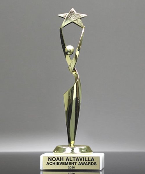 Picture of Reach for the Stars Trophy