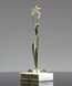 Picture of Star Achiever Trophy