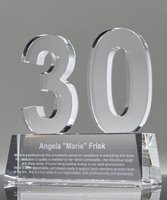 Picture of Crystal 30 Years of Service Award