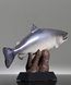 Picture of Resin Salmon Trophy