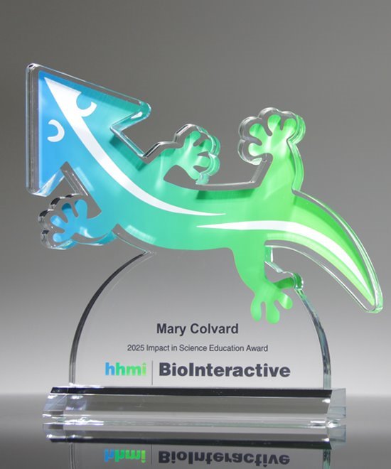 Premium Cut-to-Shape Custom Acrylic Award | Edco Awards