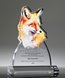 Picture of Fox Wisdom Award