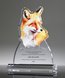 Picture of Fox Wisdom Award