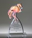 Picture of Flamingo Flair Award