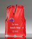Picture of Acrylic Uniform Paperweight Award