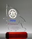 Picture of Firefighter Silhouette Trophy - Full Color