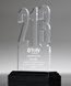 Picture of Any Number Acrylic Pop-In Award