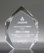 Picture of Spectra Gold Diamond Award
