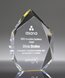 Picture of Spectra Gold Diamond Award