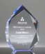 Picture of Spectra Blue Diamond Award