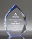 Picture of Spectra Blue Diamond Award