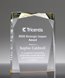 Picture of Spectra Prism Gold Acrylic Award