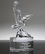 Picture of Soaring Crystal Eagle Award