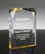 Picture of Spectra Prism Gold Acrylic Award
