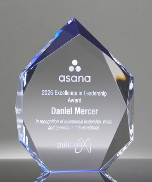 Picture of Spectra Blue Diamond Award