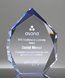 Picture of Spectra Blue Diamond Award