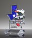 Picture of Custom Car Show Trophy - 375 Street Series
