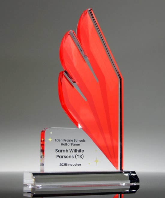 Premium Cut-to-Shape Custom Acrylic Award | Edco Awards