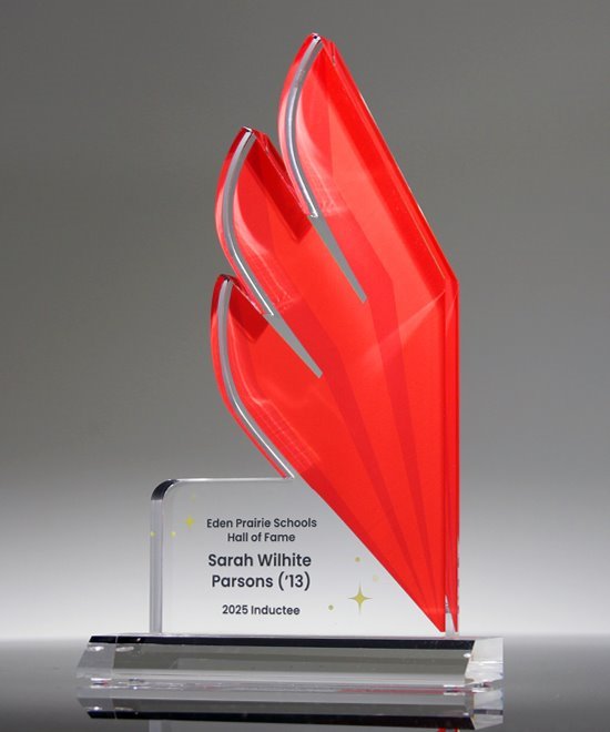 Premium Cut-to-Shape Custom Acrylic Award | Edco Awards