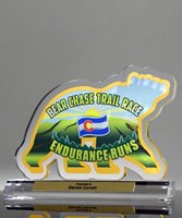 Picture of Acrylic Bear Trophy