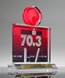Picture of Acrylic Logo-Top Award