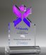 Picture of Logo-Cut Custom Acrylic Award