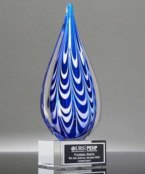 Picture of Synergy Art Glass Award