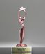 Picture of Star Achiever Pink Trophy
