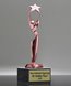 Picture of Reach for the Stars Pink Achievement Trophy