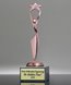 Picture of Reach for the Stars Pink Achievement Trophy