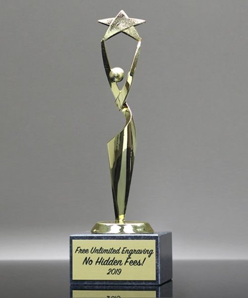 Picture of Reach for the Stars Achievement Award